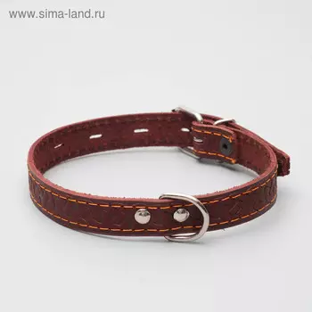 Ошейник кожаный однослойный, 48 х 2 см, ОШ 35-45 см, микс