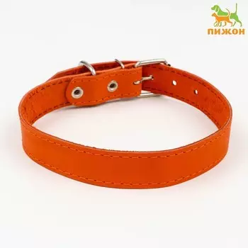 Ошейник кожаный однослойный, 60 х 3 см, ОШ 45-57 см, рыжий