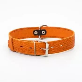 Ошейник кожаный однослойный, 64 х 3,5 см, ОШ 49-61 см, рыжий