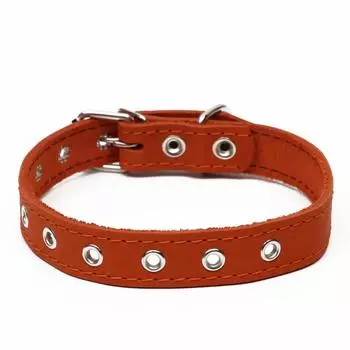 Ошейник кожаный однослойный, безразмерный, 562.5 см, ОШ 17-44 см, оранжевый