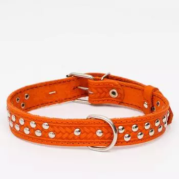 Ошейник кожаный однослойный, клёпаный, рыжий, ОШ 45-57 см, 60 х 3 см