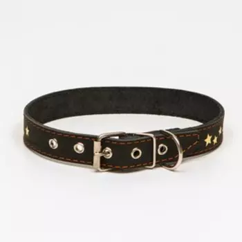 Ошейник кожаный однослойный, тиснёный «Звезды», 60 х 2,5 см, ОШ 38-51 см, чёрный с золотым