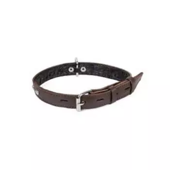 Ошейник кожаный с подкладом украшенный "Зооник", ОШ 25-52 х 2,5 см, микс цветов