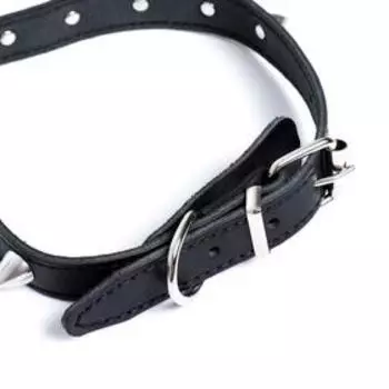 Ошейник кожаный с шипами, чёрный (38-46х2 см)