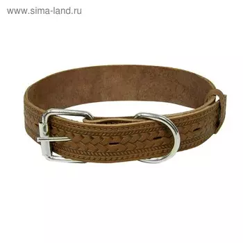 Ошейник кожаный с тиснением "Зооник", ОШ 45-59 х 3 см, микс цветов и тиснения