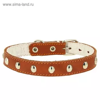 Ошейник кожаный украшенный, на синтепоне, ОШ 39-46 х 2,5 см, микс цветов