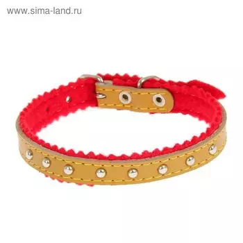 Ошейник кожаный украшенный, на синтепоне, с бубенчиками, 28 х 1 см, желтый