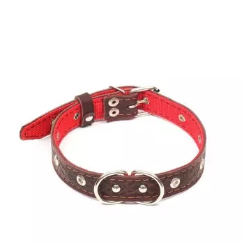 Ошейник кожаный усиленный капроном с полукольцом, 55 х 2,5 см, ОШ 27-53 см, коричневый