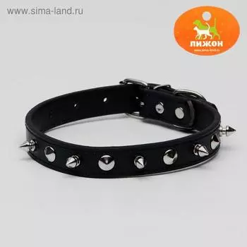 Ошейник "Лион" с шипами 45 х 2 см, ОШ 34-40 см, искусственная кожа, чёрный