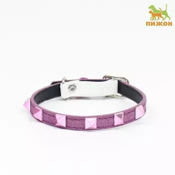 Ошейник "Люкс", 30 х 1 см, микс цветов