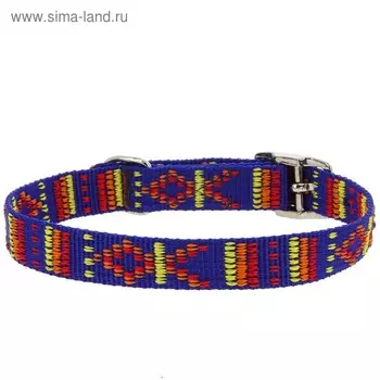 Ошейник нейлоновый "Орнамент", 70 х 2,5 см, синий