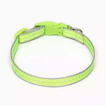 Ошейник "Неон" 24-36 х 1,5 см, зелёный
