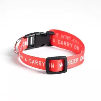 Ошейник для собак и кошек с фастексом Keep calm and carry on, 40 х 1,5 см