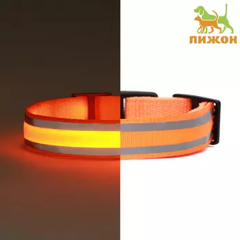 Ошейник с подсветкой Двойная полоса, S, ОШ 35-432.5 см, 3 режима свечения оранжевый