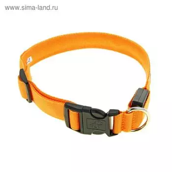 Ошейник с подсветкой Двойная полоса размер XL, ОШ 52-602.5 см 3 режима свечения оранж