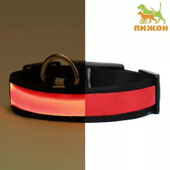 Ошейник с подсветкой Flash 3 режима свечения, размер М, ОШ 40-482.5 см, красный