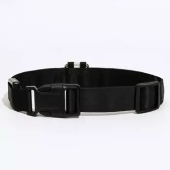 Ошейник с подсветкой "Flash", 3 режима свечения, микс цветов, размер XL, ширина 2,5,ОШ 45-50