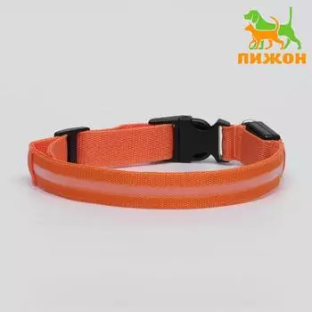 Ошейник с подсветкой размер XL, ОШ 52-602.5 см, 3 режима свечения оранжевый