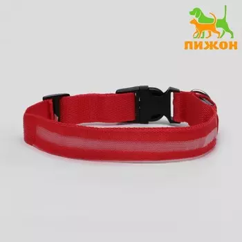 Ошейник с подсветкой размер XL, ОШ 52-602.5 см, 3 режима свечения красный