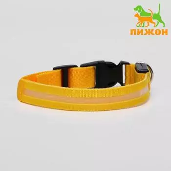 Ошейник с подсветкой, M, 40-45 см, 3 режима свечения, жёлтый