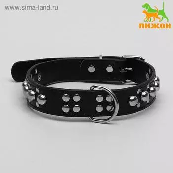 Ошейник "Сириус", кожзам с заклёпками, 56 х 3 см, ОШ 42-52, чёрный