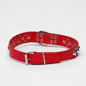 Ошейник "Сириус", кожзам с заклёпками, 56 х 3 см, ОШ 42-52, красный