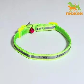 Ошейник «Спорт» со светоотражающей полосой, 311 см, зелёный