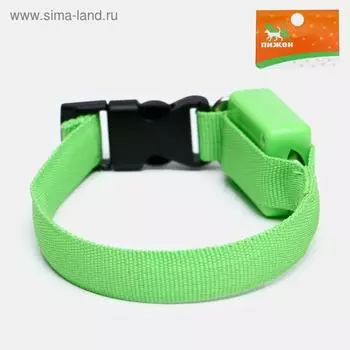 Ошейник светящийся узкий для небольших собак, зелёный, 26 х 1,5 см