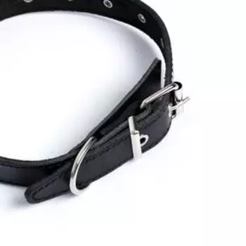 Ошейник универсальный, чёрный (размер 16-54 см, ширина 2,5 см), кожаный