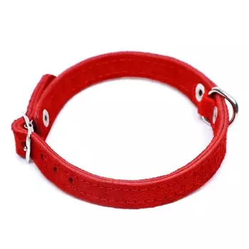 Ошейник замшевый двухслойный 1 см, ОШ 28-35 см, красный