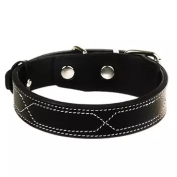 Ошейник Зооник "Премиум-классик" кожаный двойной, 41-53 х 3 см, чёрный