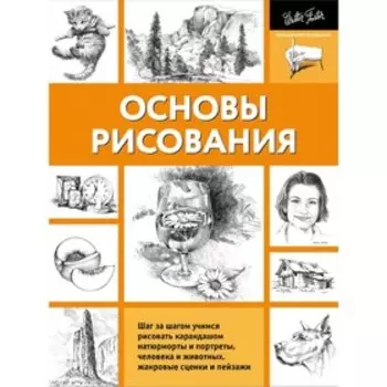 Основы рисования