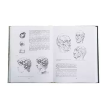 Основы учебного академического рисунка. Ли Н.Г.