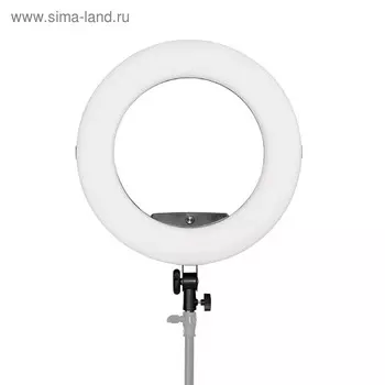 Осветитель кольцевой BeautyLight 480 LED