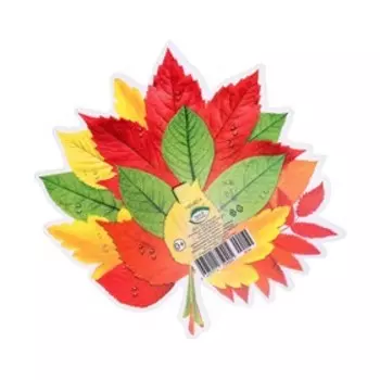 Открытка для украшения на скотче "Осенний букет - 2" 18х18см