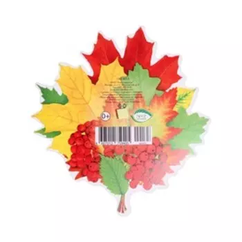 Открытка для украшения на скотче "Осенний букет " рябина, 18х18см