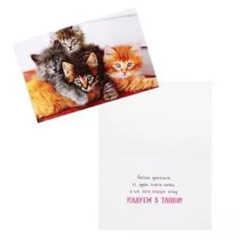 Открытка "Котята" УФ-лак, 12х18 см