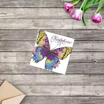 Открытка мини «Поздравляю», бабочка, 7 х 7 см