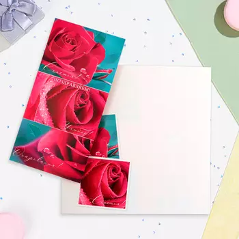 Открытка «Поздравляем!», евро, 21.521.5 см