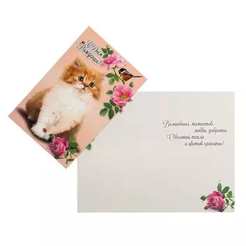 Открытка "С Днем Рождения!" котенок, цветы