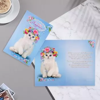 Открытка "С Днём Рождения!" кошка, венок, голубой фон, А5