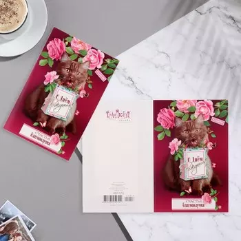 Открытка "С Днём Рождения!" кот, розы, малиновый фон, А5