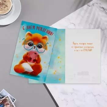 Открытка "С Днём Рождения!" котик, очки