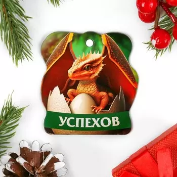 Открытка-шильдик на магните "Успехов!" винил, символ года, 6,5х7 см