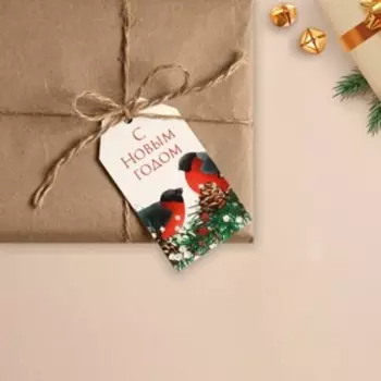 Открытка-шильдик на подарок «Новый год», 5 × 9 см