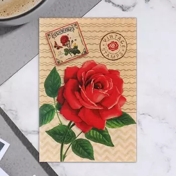 Открытка-шильдик "Универсальная" карловая роза 11,5 х 8,5 см