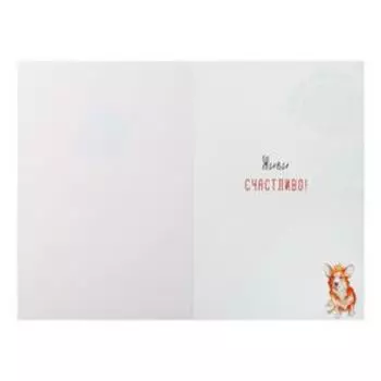 Открытка "Вот мой королевский указ!" корги, оранжевый фон