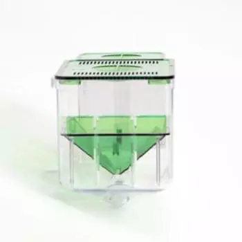 Отсадник - инкубатор для мальков