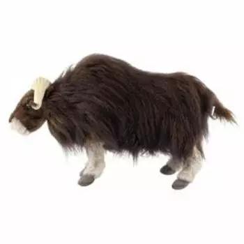 Овцебык, 42 см
