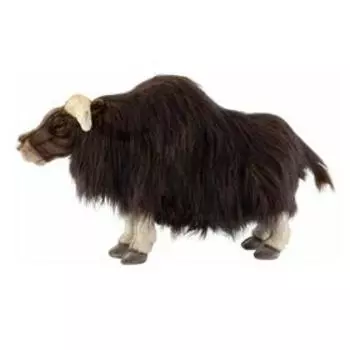 Овцебык, 60 см
